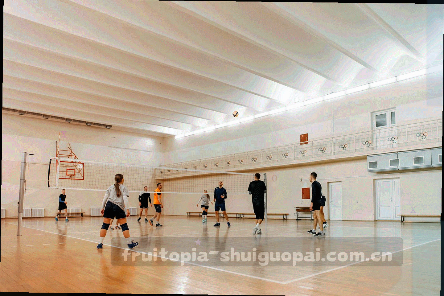 水果切面与果籽在色块上错落排布的海报式拼贴